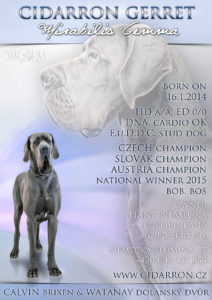 cidarron-gerret-mg-presentation-web